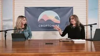 FWTV Market Update 7/30 | @TheFarmCFO | Spring wheat, Bloomberg, the Fed, Reverse Repos, China