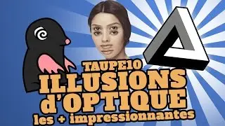 TOP 10 des ILLUSIONS D'OPTIQUE les plus impressionnantes