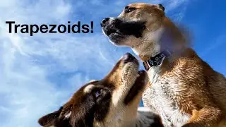 Trapezoids
