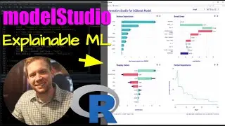 My 4 most important explainable model visualizations with modelStudio