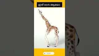 നിങ്ങൾക് ഇത് മനസ്സിലായോ
