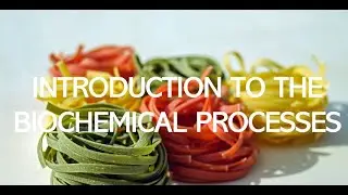 BIOCHEMICAL PROCESSES I Biology Online Class