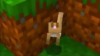 Minecraft - Animals / Compilation of Old Shorts Videos #5