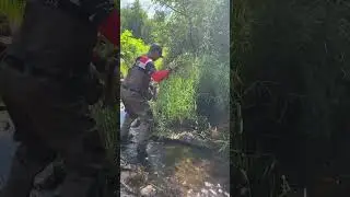 Вот это рыбина!!! #рыбалка #поймалотпусти #fishing #малыереки #рыбак #голавль #чапло #рыба