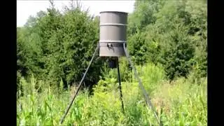 Why a Nursery  and Tree Farm Feeds Deer