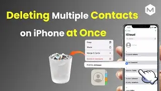 [1 Min Tutorial] Bulk Delete & Merge Contacts on iPhone—Effortlessly!