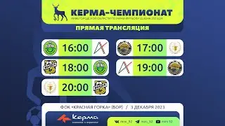 Керма-Чемпионат Нижегородской области сезона 2023/2024. 03.12.2023 ТУР В Г.О.Г. БОР