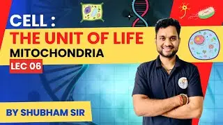 CELL : THE UNIT OF LIFE ( LEC 06 ) || Mitochondria || by Shubham Sir
