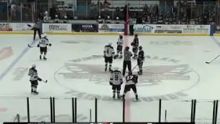 FHL bench clearing brawl