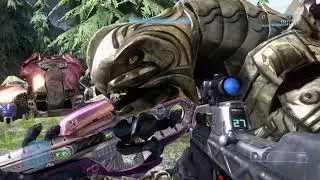 Halo 3: Covenant? More Like, Dead (Rage & Rune)