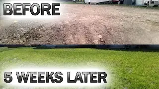 How to Seed Your Lawn and Grow Grass Step By Step DIY Backyard Project Part 5 | YeahPete