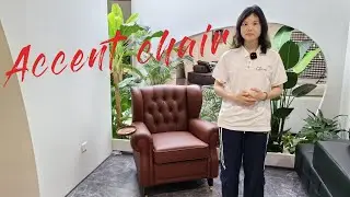 Popular Trends in Home Decoration Accent Chair