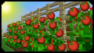 ✔ Minecraft: How to make Tomato Plants