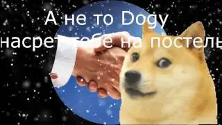 Сотрудничество