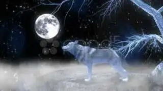 The wolf howling at the moon animation
