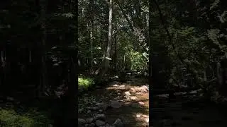 Nothing is better than summer relaxing near water stream