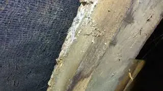 High moisture meter reading? Don't panic. Neil Marsden Snr