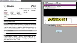 Demo: Attending Physician Summary Documents