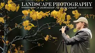 Autumn Leaves in Spring | Landscape Photography and a Reminder to Slow Down