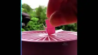 Funny videos 2021\ asmr\satisfying  #Shorts