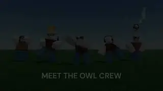 Meet the Owl Crew!