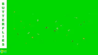 🦋 Butterfly Green Screen | Green Scree Butterfly n | Green Screen Background (No Copyright)