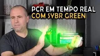 Fundamentos da PCR em Tempo Real (qPCR) com intercalante de DNA SYBR Green