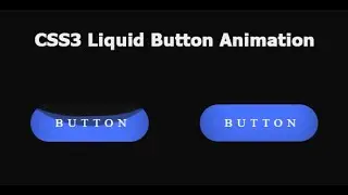 CSS3 Liquid Button Animation | Romin Computer | Mohammad Romin | CodeCanyon