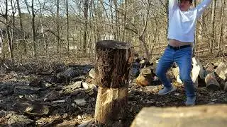 hickory 3/24/24
