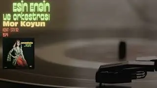 Esin Engin ve Orkestrası - Mor Koyun |#lp #plak #kayıt #yeşilçam|