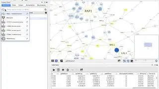 Identifier Mapping in Cytoscape