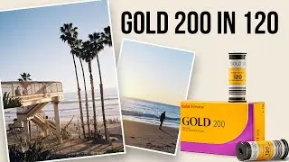 FIRST LOOK at the new Kodak Gold 200 in 120