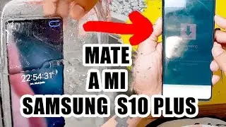 Después de congelar mi Samsung S10 Plus Triste Final !!