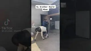 Animals Lovers Video best informative 