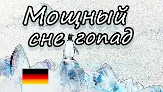 Мощный снегопад в Германии.Транспортный коллапс в Саксон-Анхальт