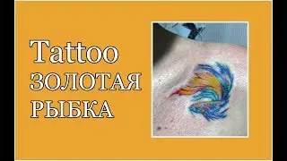 Tattoo Золотая Рыбка