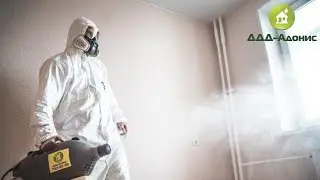 Дезинфекция квартиры