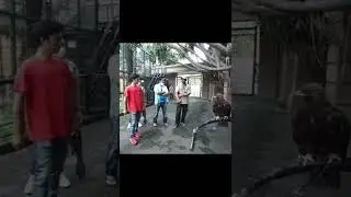 POKOKNYA SEMUANYA MIRIP CIPUNG🤣🤣 