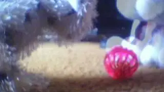 My very first stop motion video