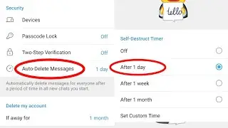 Telegram Auto Delete Message ? Auto Delete Message Setting in telegram ?