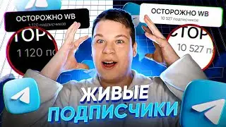 Как Накрутить Подписчиков в Телеграм БЕСПЛАТНО и БЕЗ СПИСАНИЙ 2026 / Накрутка Телеграм Канала