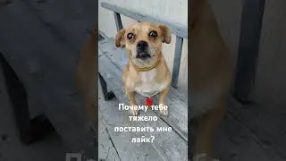 Привет.Я Мия.