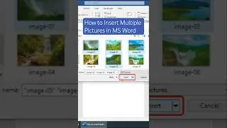 How to Insert Multiple Pictures in MS Word 