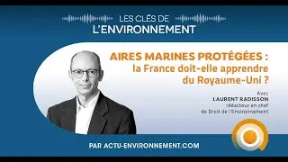 Aires marines protégées : la France doit-elle apprendre du Royaume-Uni ? Les Clés de l'Environnement