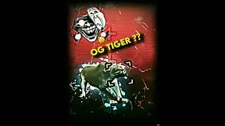 THE OG TIGER ENTER THE GAME ? 😳