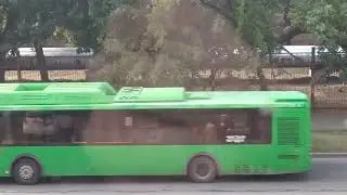 Вот так работает Служба Благоустройства.
