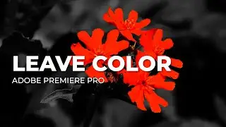 Leave color effect in Adobe Premiere pro | arbn Studios