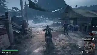 Days Gone