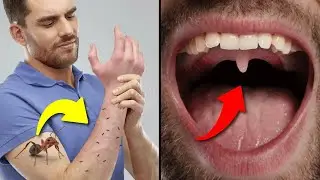7 Cosas que siempre quisiste saber! 🧠 [XpressTV]