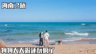 自驾海南去吃糟粕醋火锅，两人两狗海边玩不腻，这几天越来越热了